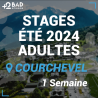 Stage Badminton Adultes Courchevel Été 2024