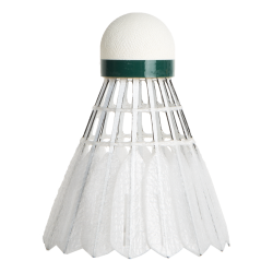 Victor New Carbonsonic NCS