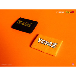 Victor SP 506 DBZ C