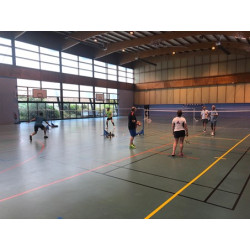 Stage badminton adultes Dinard été 2026