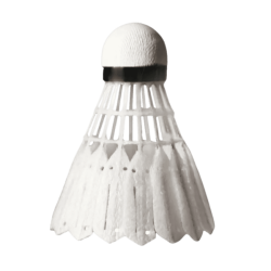 Victor Carbon NCS Pro