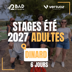 Stage Badminton Adultes...