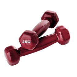 Haltères 2kg X2